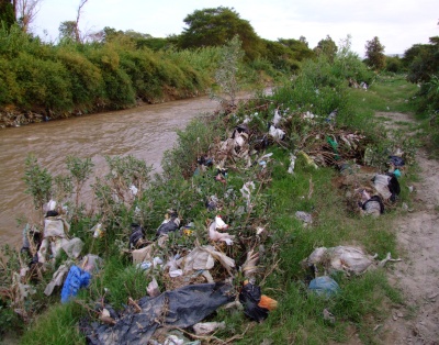 Riparian Rubbish Owhaley