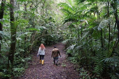 14 Rosie And Pedro Bol Head Into The Forest