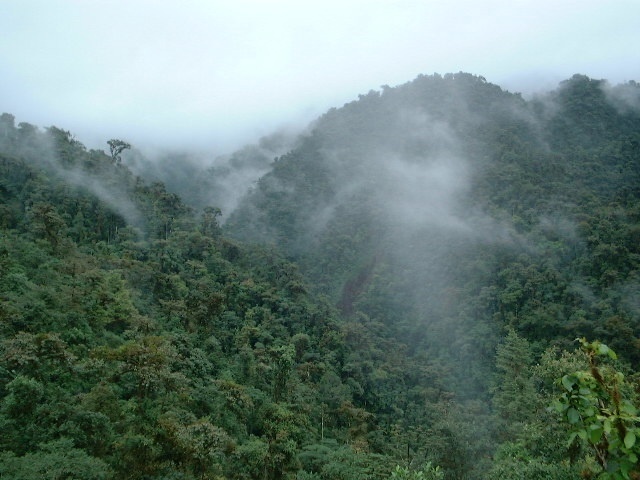 Junin Clouds over Reserve