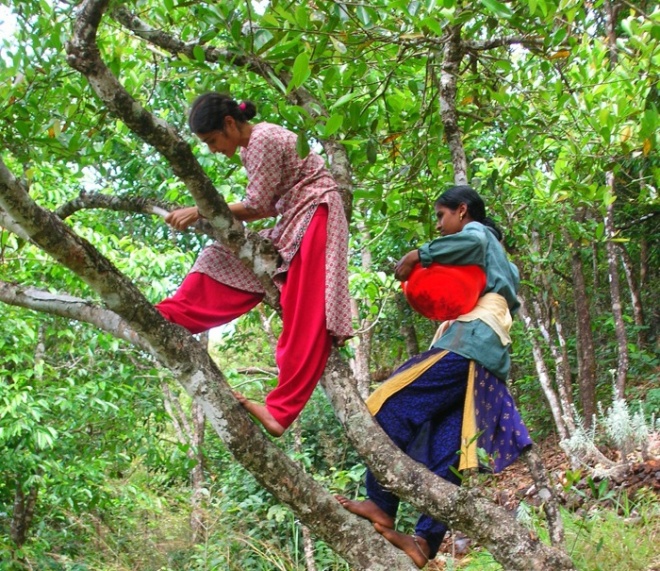 Womenin Treecrop