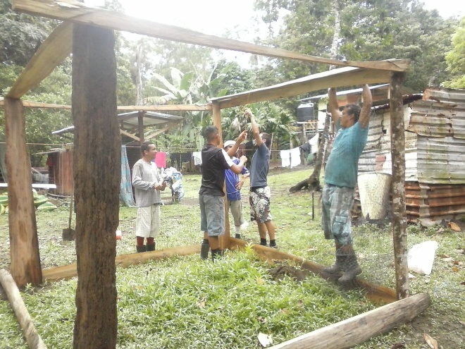 Building the hatchery