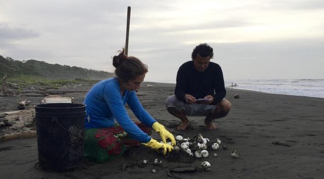 Bárbara and Johnny counting turtle eggs at Urpiano beach