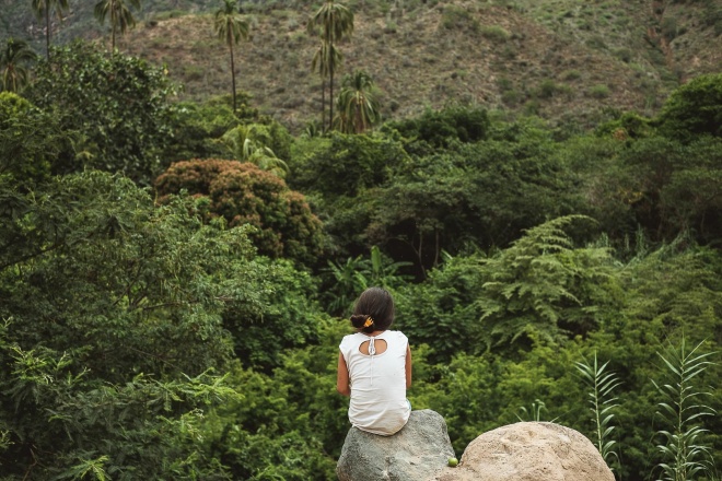 o	Riparian forest Huertas – valuable resources for biodiversity, nutrition, and wellbeing (photo BW)