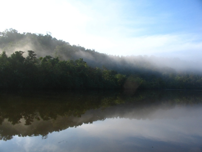 Riverforestyaldaimg 2649