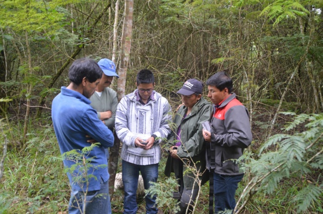 Installing new camera traps