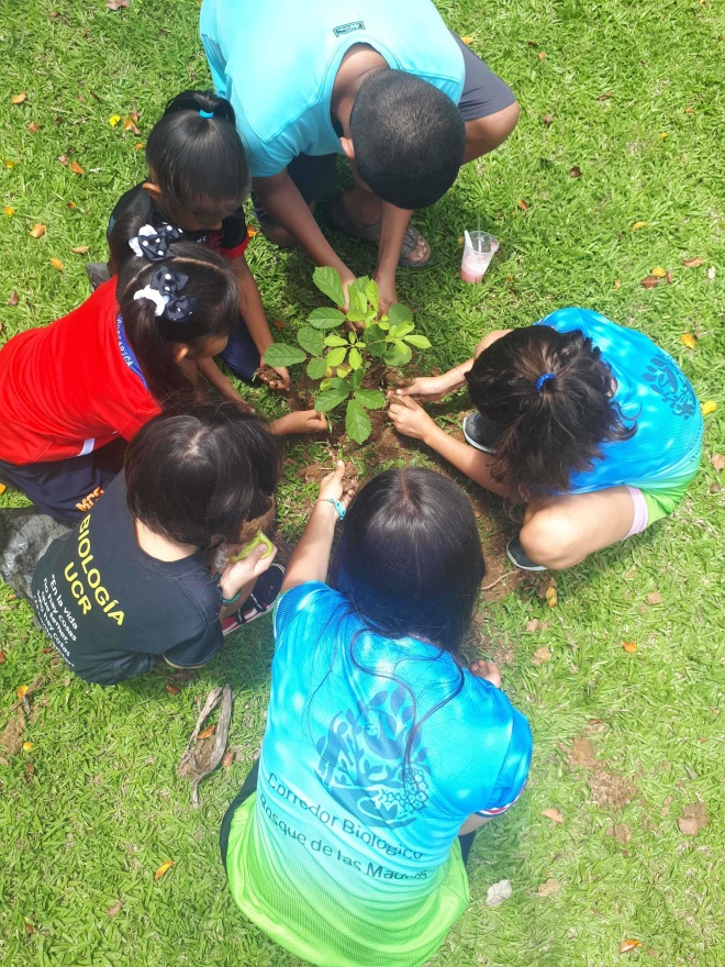 Helping to plant native tree species as part of FCL’s ongoing reforestation programme