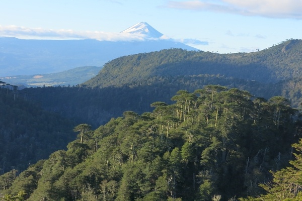 Volcán Villarica - Martin Gardner