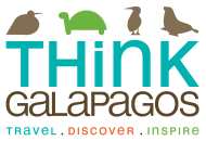 TG Logo