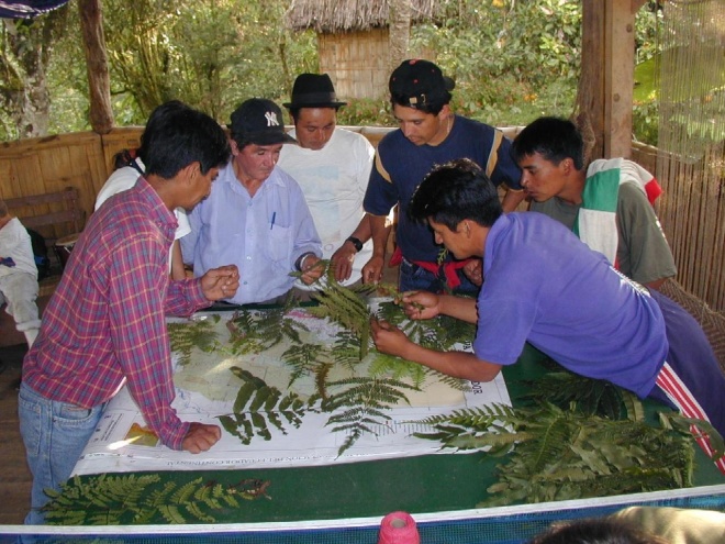 8 Zorrilla Biodiversityworkshop May04